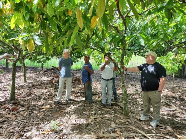 「ASICS Runkeeper」を使って植樹に貢献しよう