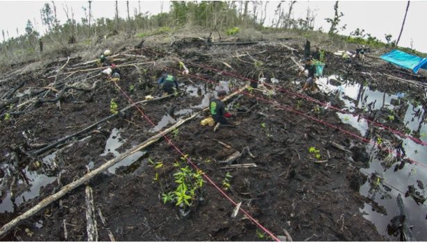 アシックスはこれからも環境と社会に配慮した事業活動を行っていくそうだ