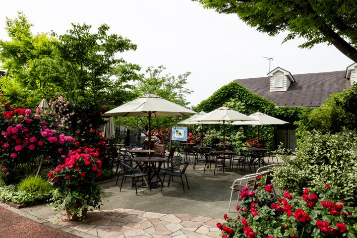 一年で最も心ときめく季節の到来♪満開のバラの香りに包まれる「横浜イングリッシュガーデン」