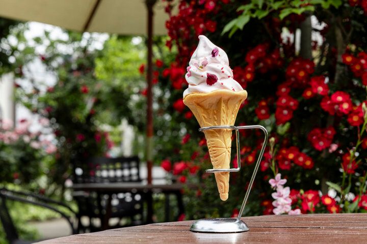 一年で最も心ときめく季節の到来♪満開のバラの香りに包まれる「横浜イングリッシュガーデン」