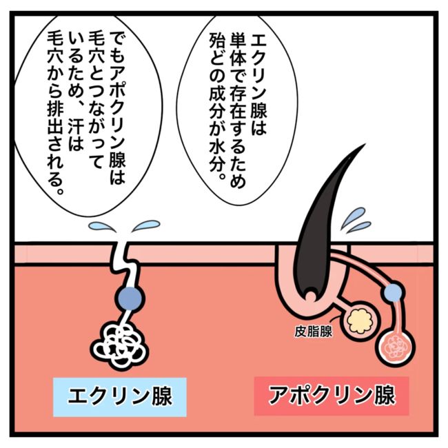 ワキガ治療で搬送された話／すがのみさき