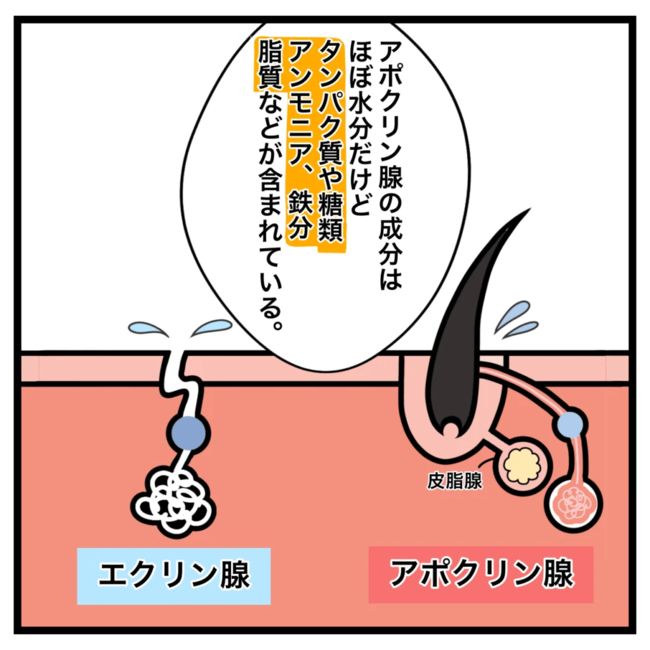 ワキガ治療で搬送された話／すがのみさき