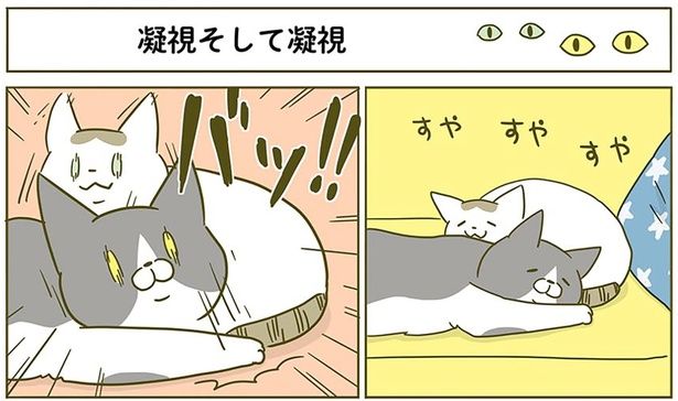 凝視そして凝視 （C）卵山玉子／KADOKAWA