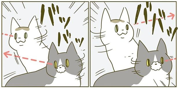 ババッ!! （C）卵山玉子／KADOKAWA