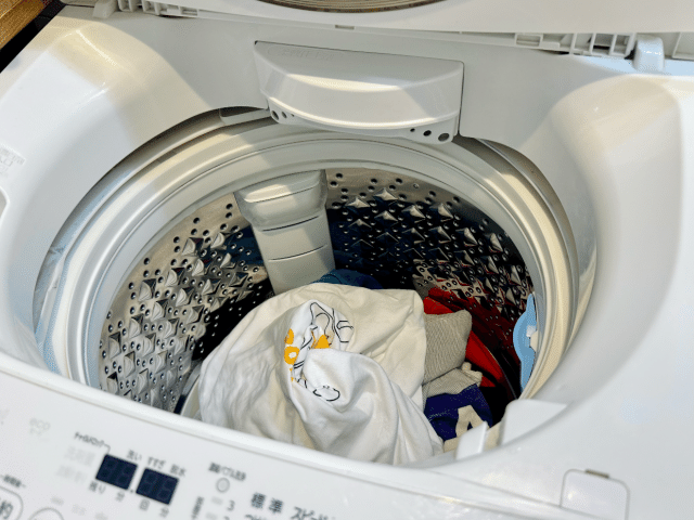 洗濯層の中