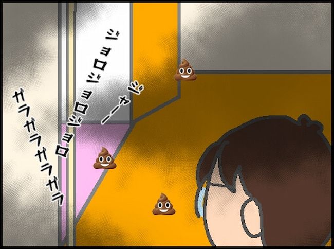 頑張り過ぎない介護／まる子