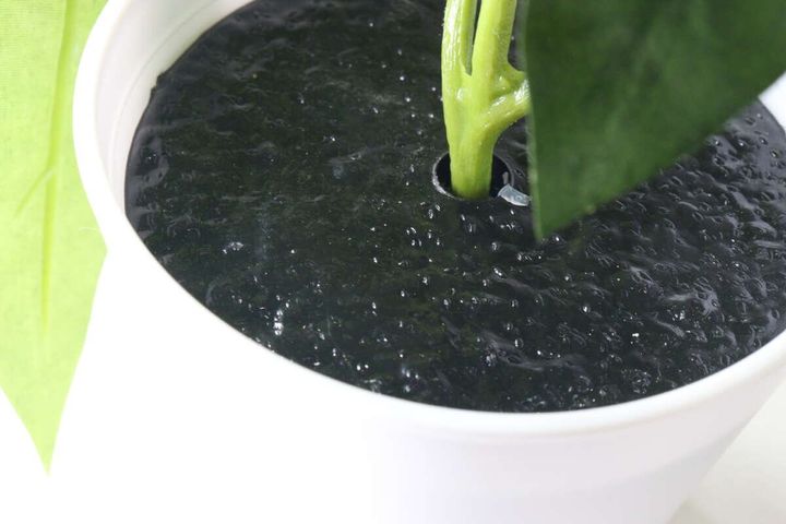 ダイソー グリーンポット（1） インテリア 土