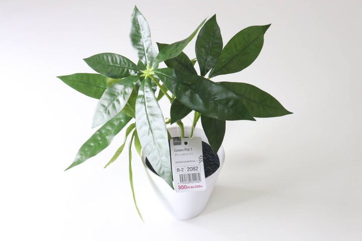 ダイソー グリーンポット（1） 商品タグ