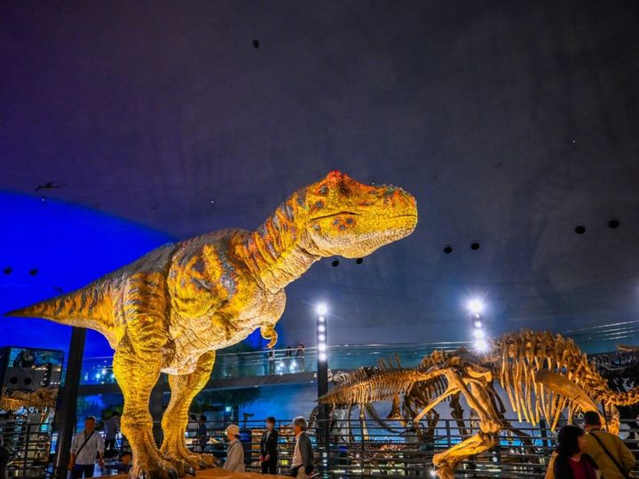 All About ニュース編集部が全国250人を対象に実施した「旅行先に関するアンケート」の調査結果から、春に行きたいと思う「福井県の旅行先」ランキングを発表！ 2位「福井県立恐竜博物館」を抑えた1位は？