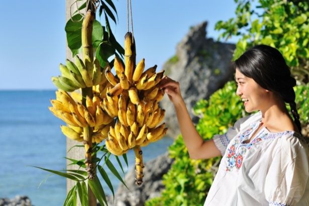 もぎたてバナナ(150円～)