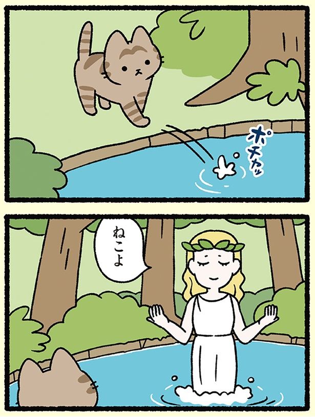 ねこよ （C）ぱんだにあ／KADOKAWA