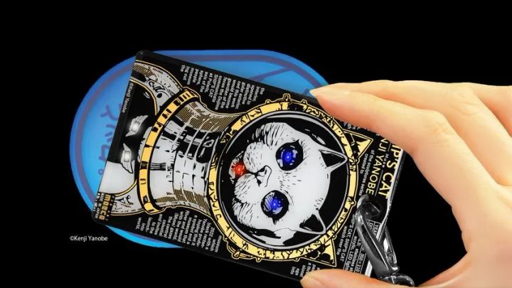 FLASH SHIP'S CAT(Muse) 基板アート ICカードケースの使用イメージ