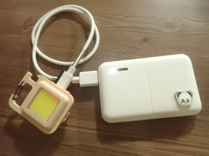 DAISO(ダイソー)：Type-Cケーブル(断線防止スプリング付)