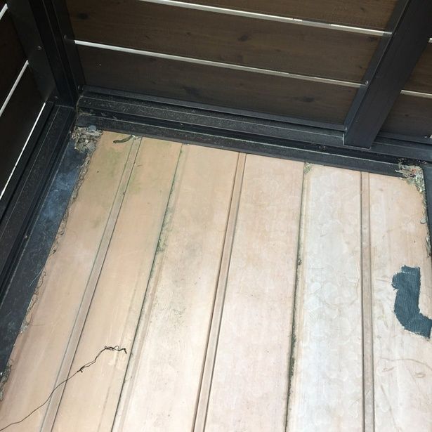 近くで見ると、こけなども生えています ▶まずはこれ (C)えり