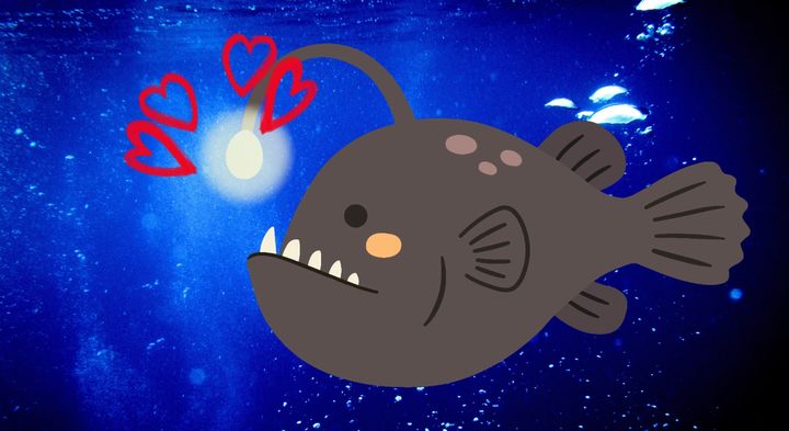 光は「釣り竿」だけではなく「ラブレター」だった