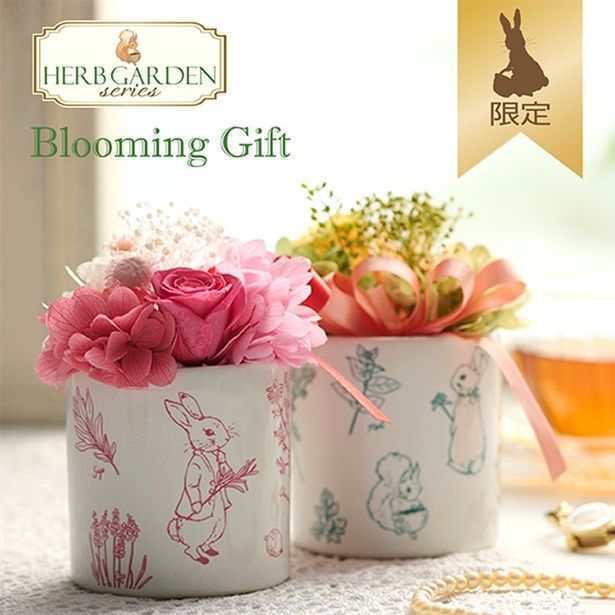 「【WEB限定】プリザーブドフラワーminiカップ」(2970円)