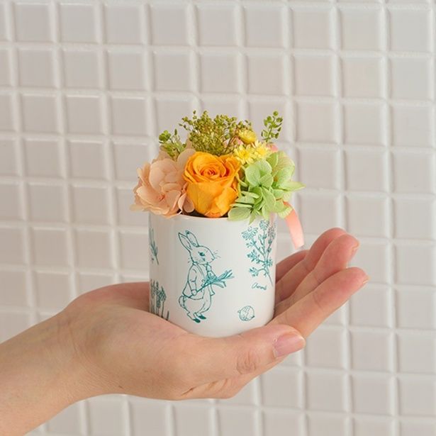 2026年4月23日(木)発売予定。手のひらサイズで、パウダールームにもそっと飾れる