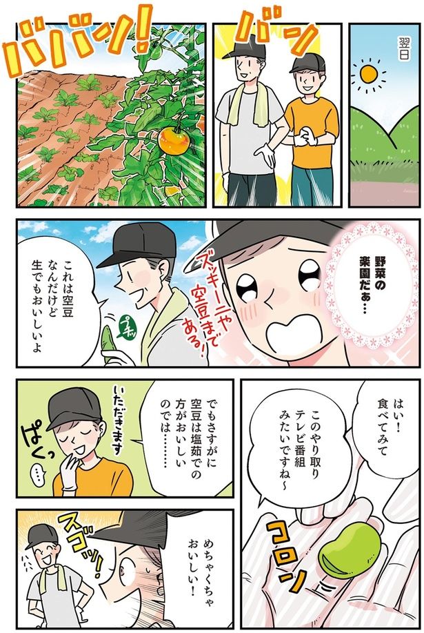 野菜の楽園だぁ… （C）まいったねぇ、野宮レナ／KADOKAWA