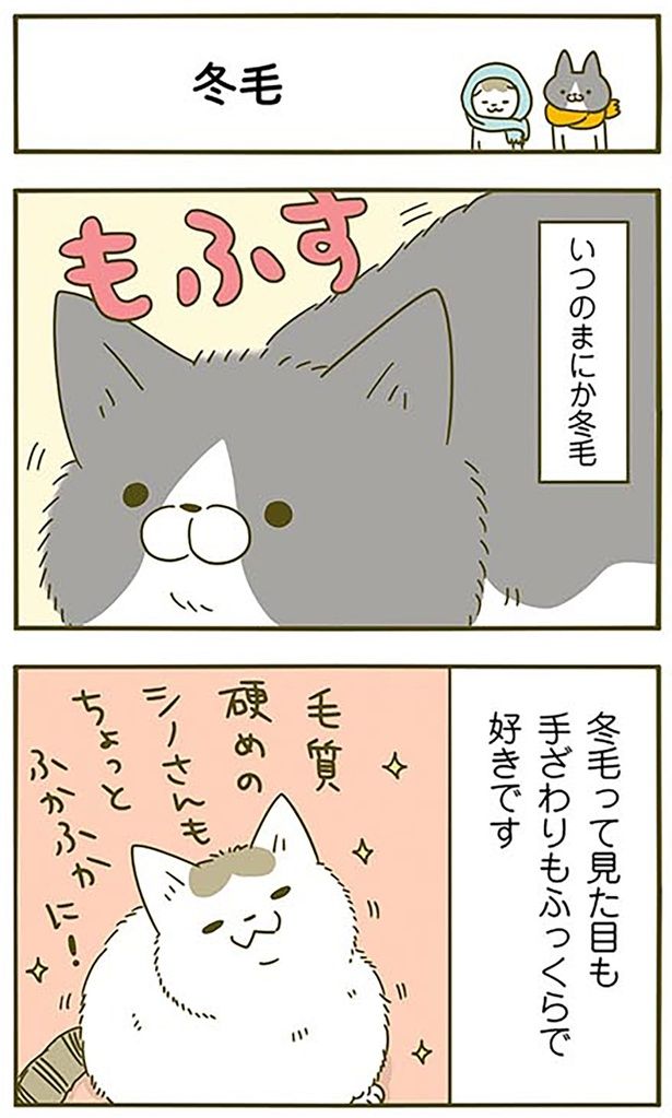 冬毛 （C）卵山玉子／KADOKAWA
