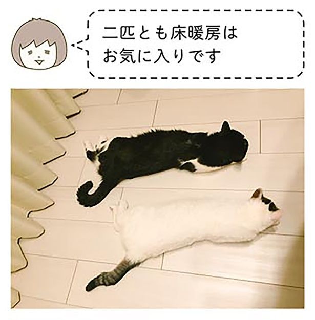 床暖房はお気に入り （C）卵山玉子／KADOKAWA