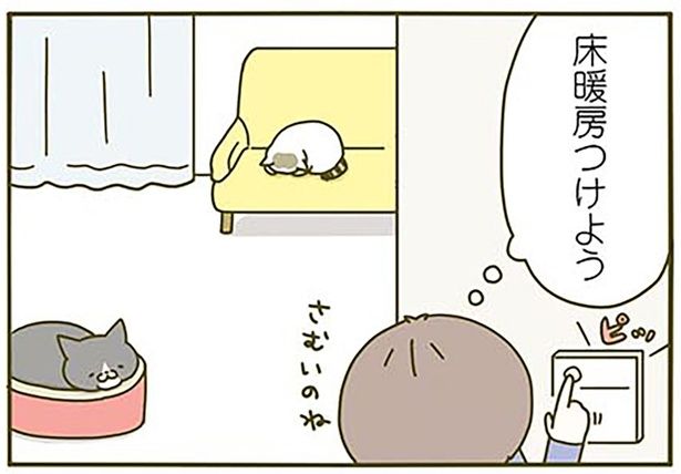 寒がる猫たちと床暖房のある生活