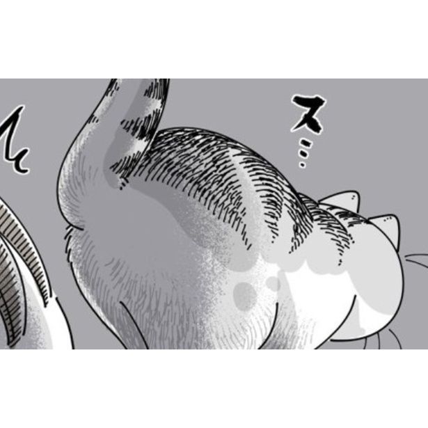 飼い主に堂々とおしりを向ける猫 画像提供：キュルZ@kyuryuZ