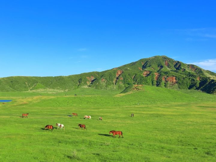 All About ニュース編集部が全国251人を対象に実施した「旅行先に関するアンケート」の調査結果から、【20代限定】春に行きたいと思う「熊本県の旅行先」ランキングを発表！ 2位「阿蘇」を抑えた1位は？