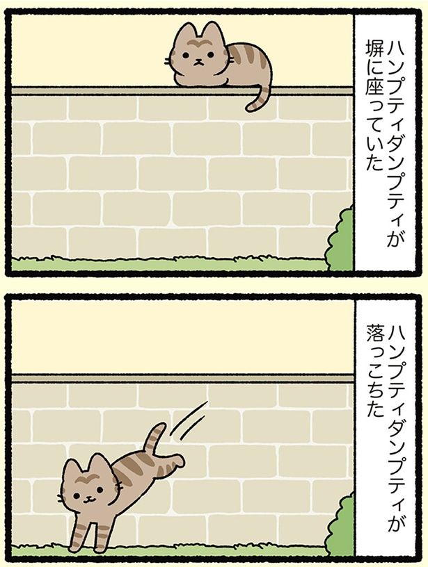 ねこは気まぐれ （C）ぱんだにあ／KADOKAWA