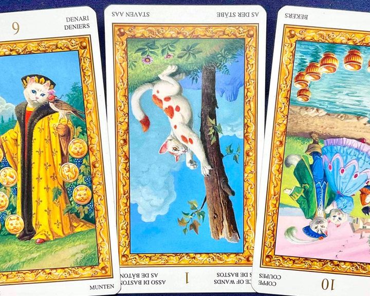 山羊座】週間タロット占い《来週：2026年4月27日〜5月3日》の総合運