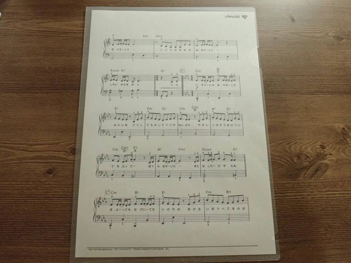 DAISO(ダイソー)：クリアホルダー(A4、10枚)