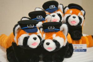 市川市動植物園オリジナル！北総鉄道の制帽をかぶった「ペロ顔