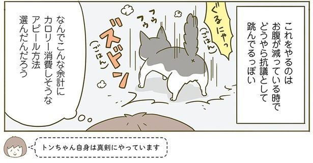 抗議として飛んでるっぽい （C）卵山玉子／KADOKAWA