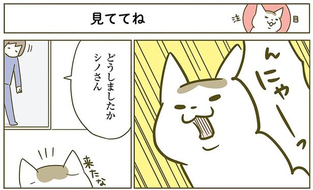 どうしましたか （C）卵山玉子／KADOKAWA