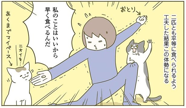 あくまでマイペース （C）卵山玉子／KADOKAWA