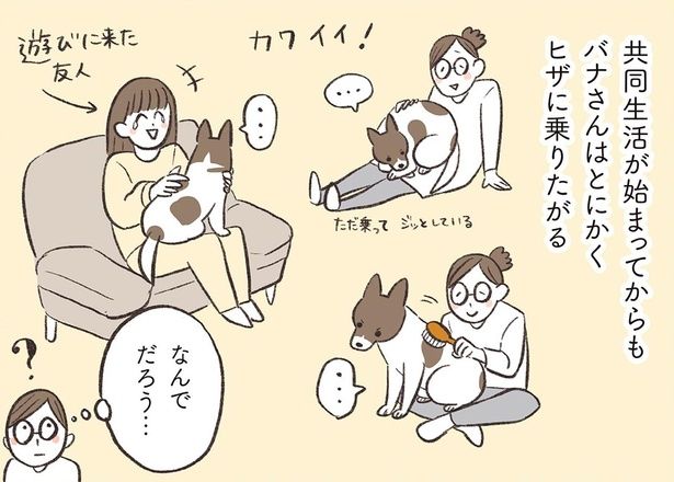 とにかくヒザに乗りたがる （C）ふじもりはる／KADOKAWA