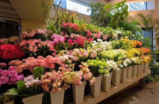 地下1階「坪井花苑」(フラワー)