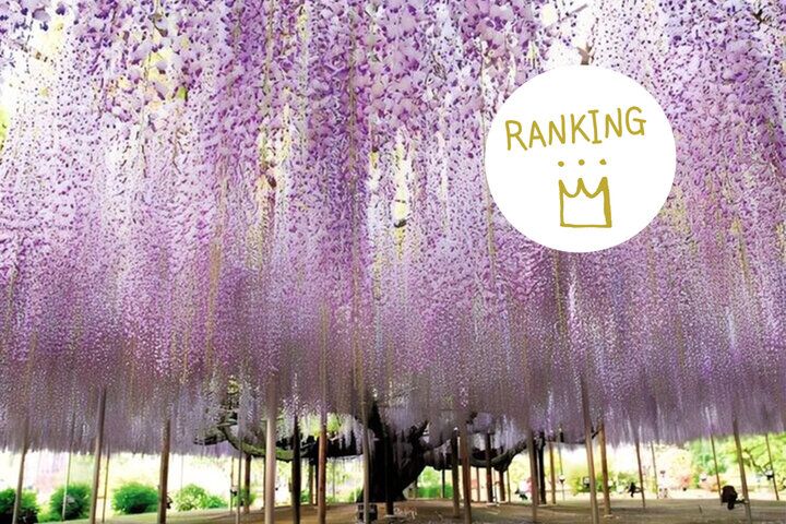 今週のランキングBest5