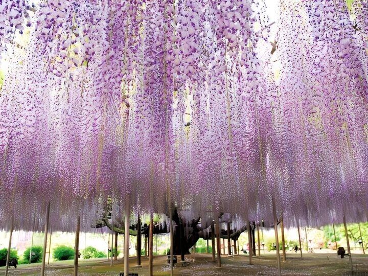 今週のランキングBest5