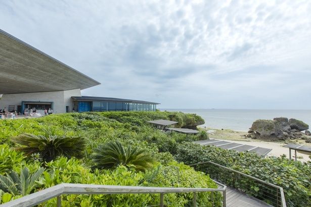 あちこちから鳥のさえずりも聞こえる絶景カフェ。浜辺へ出て海岸を散策する人の姿も