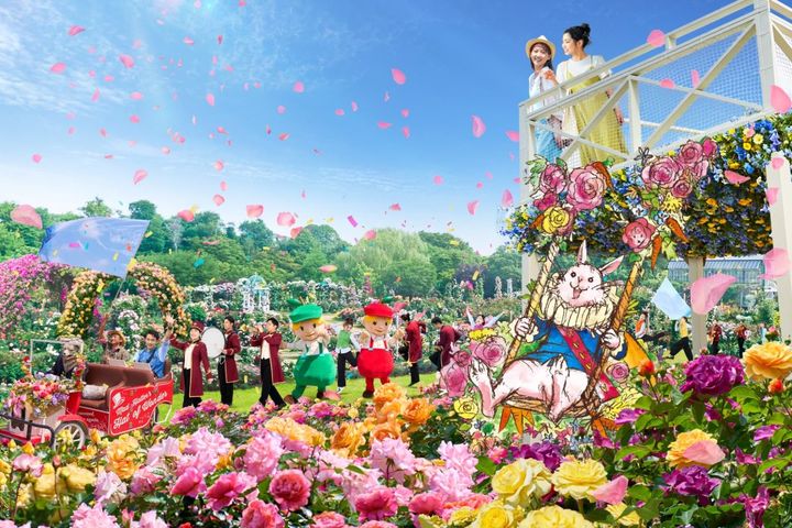 パレット オブ カーニバル