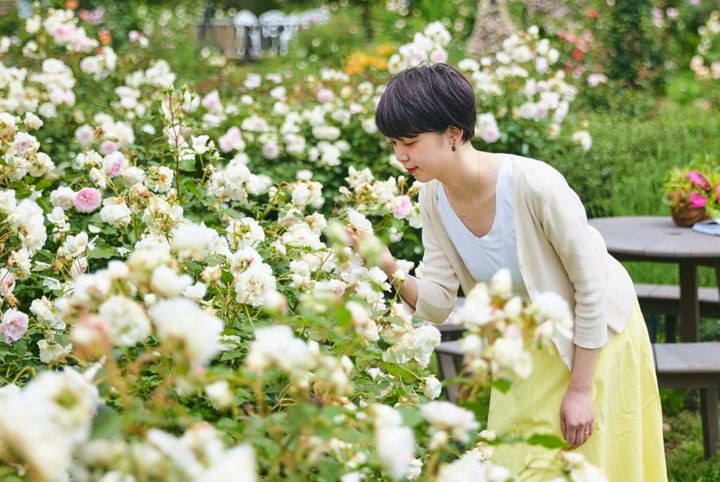 春バラフェア～バラに囲まれる時間