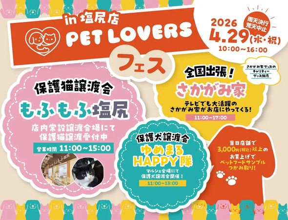 【長野県塩尻市】保護猫常設譲渡施設「もふもふ塩尻」来場300人達成記念！「PET LOVERSフェス」開催