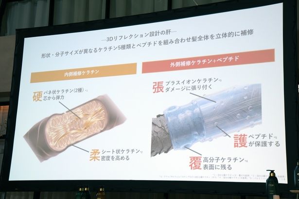 髪の内側と外側の補修の工程を解説 撮影：ソムタム田井