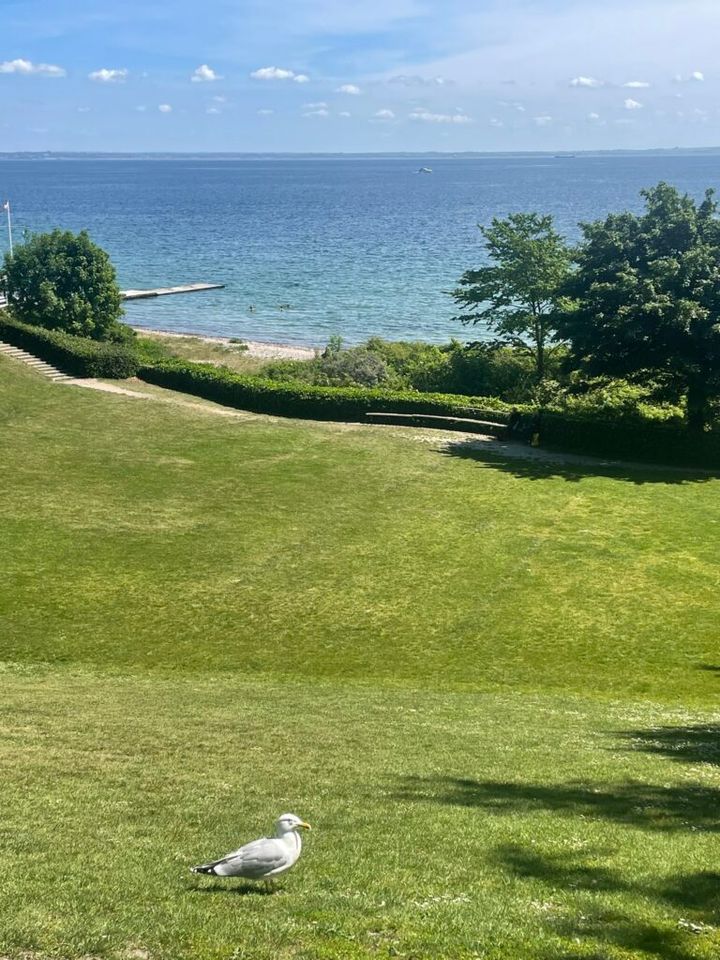 ルイジアナ近代美術館の庭と海峡