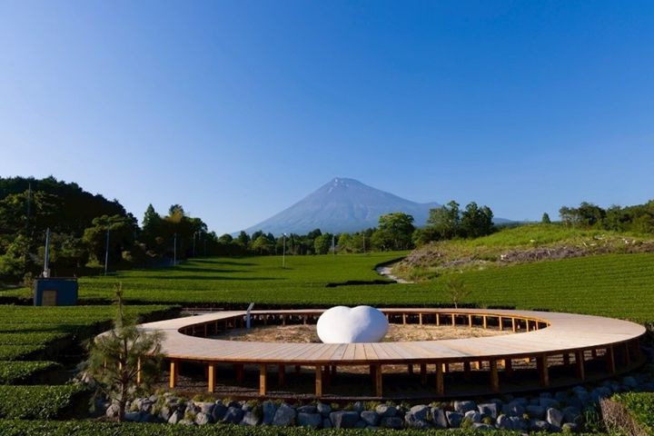 写真提供（一社）富士山観光交流ビューロー