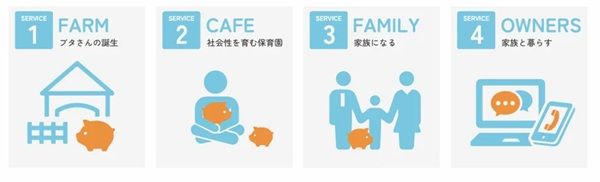 【富山県高岡市】マイクロブタとのふれあいを楽しめる「mipig cafe イオンモール高岡店」オープン！