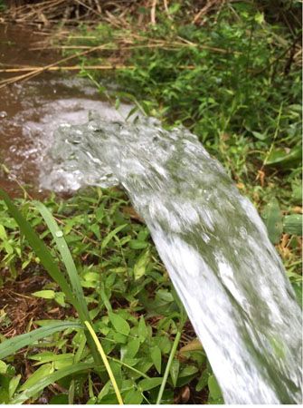 【熊本県水俣市】BBQやスポーツ大会など1日中楽しめる体験型企画が満載の「モンヴェール農山のGW」開催