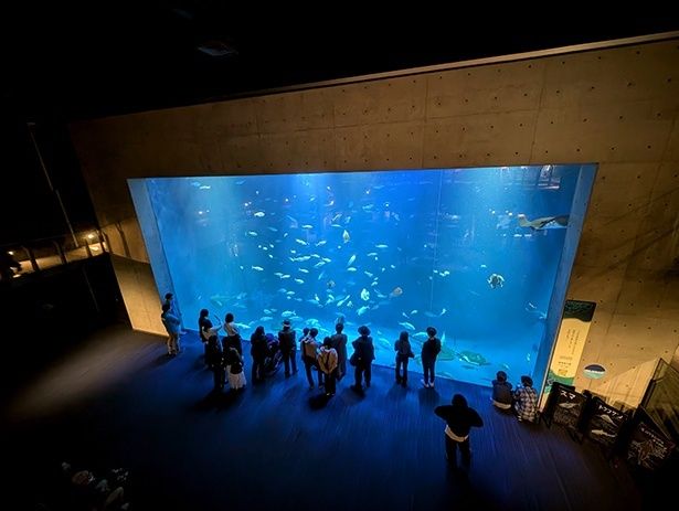 館内では、約400種の生きものを展示している