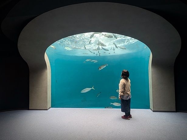 青が美しい渦潮の景では、幻想的な写真が撮影できる