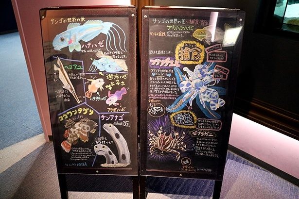 手書きの黒板解説には、それぞれ特徴をとらえたイラストとともに、飼育スタッフならではの解説がぎっしり